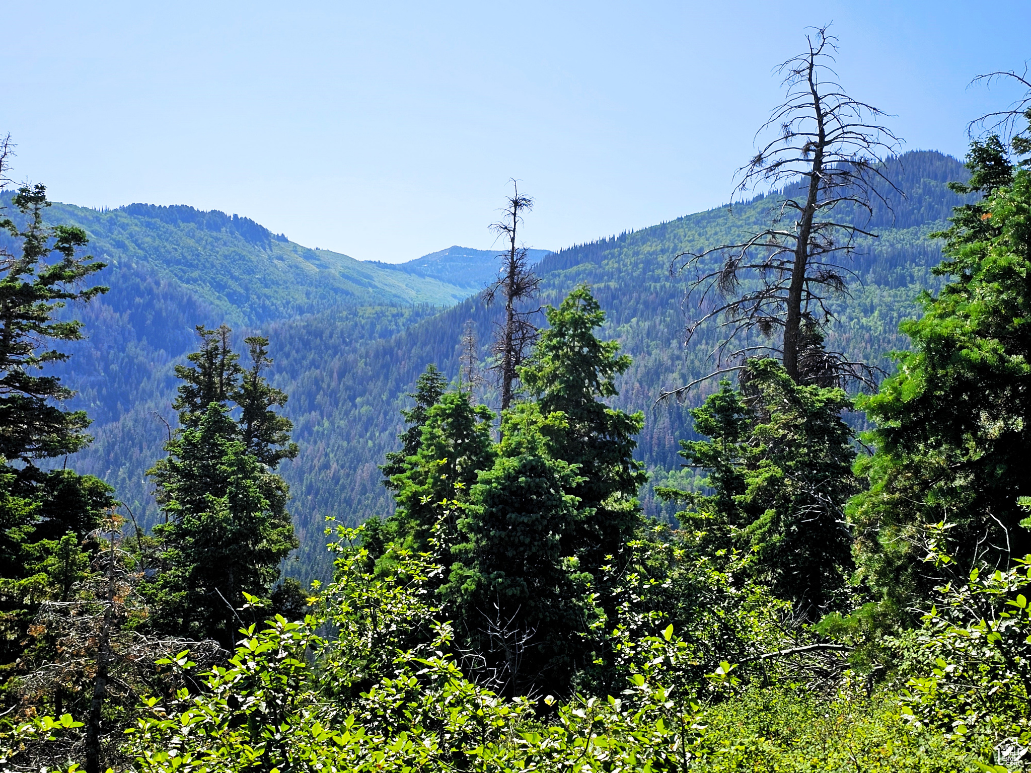 PINE RIDGE ESTATES - Land