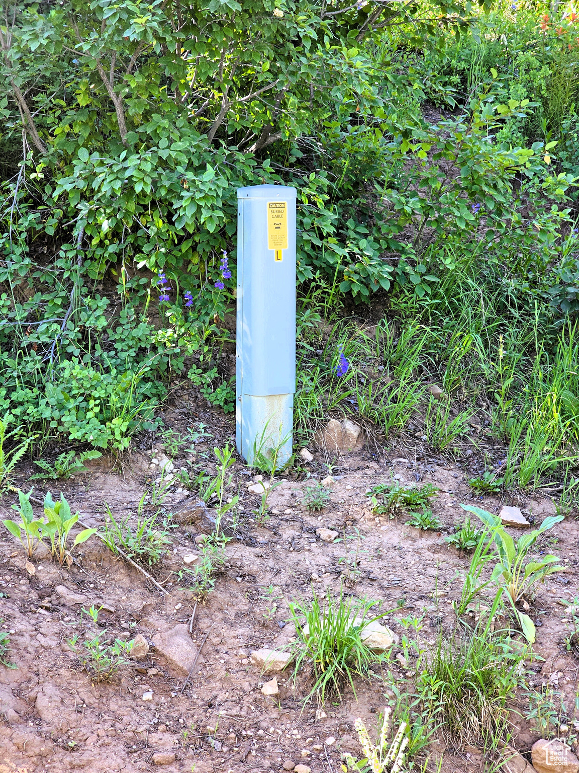 PINE RIDGE ESTATES - Land