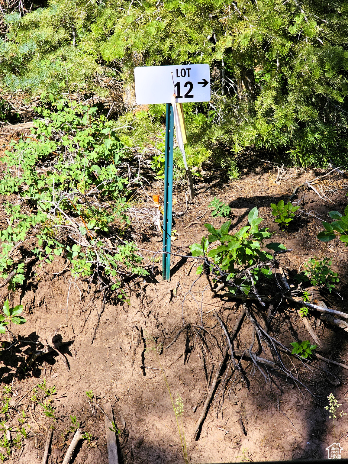 PINE RIDGE ESTATES - Land