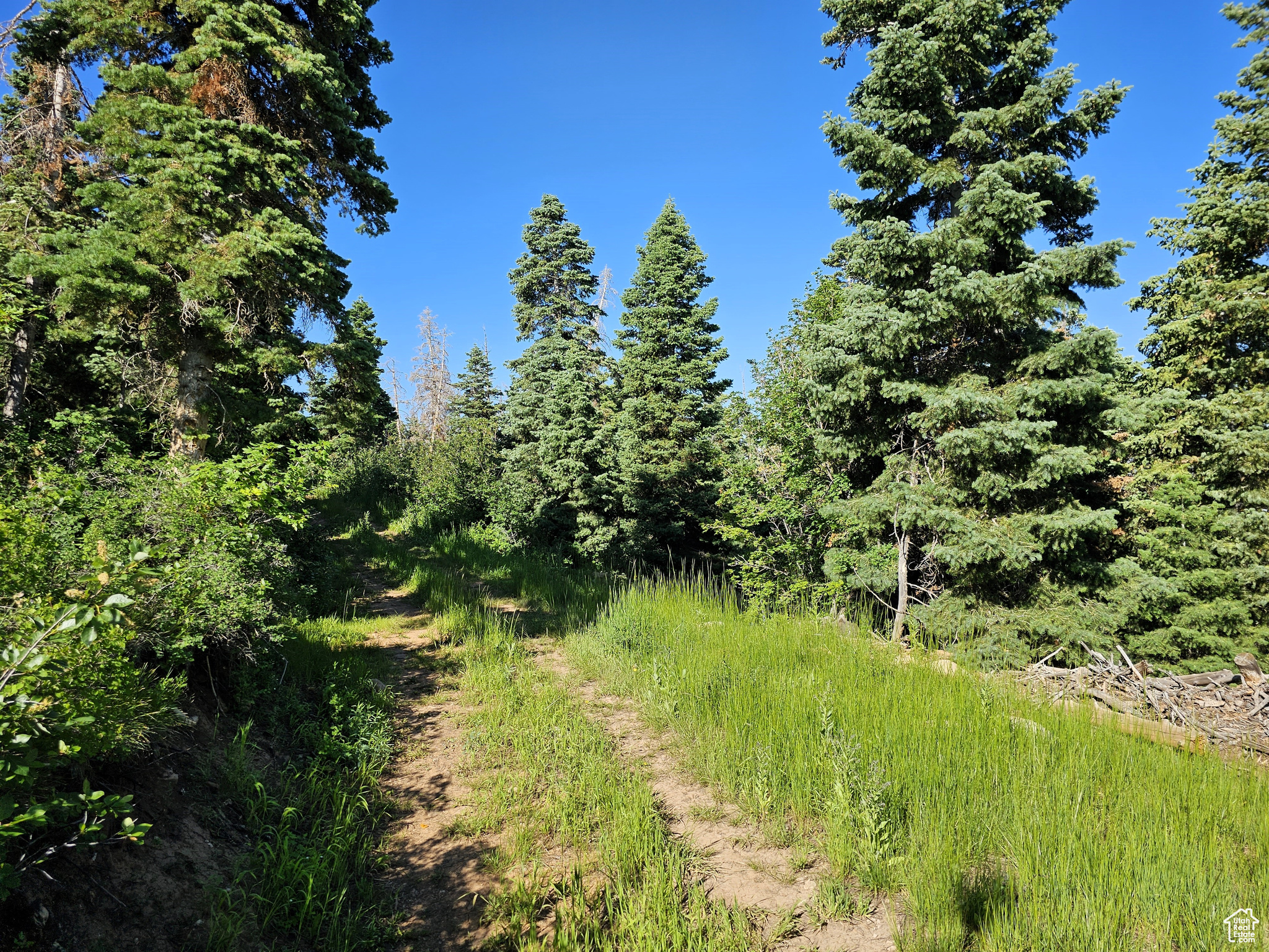 PINE RIDGE ESTATES - Land