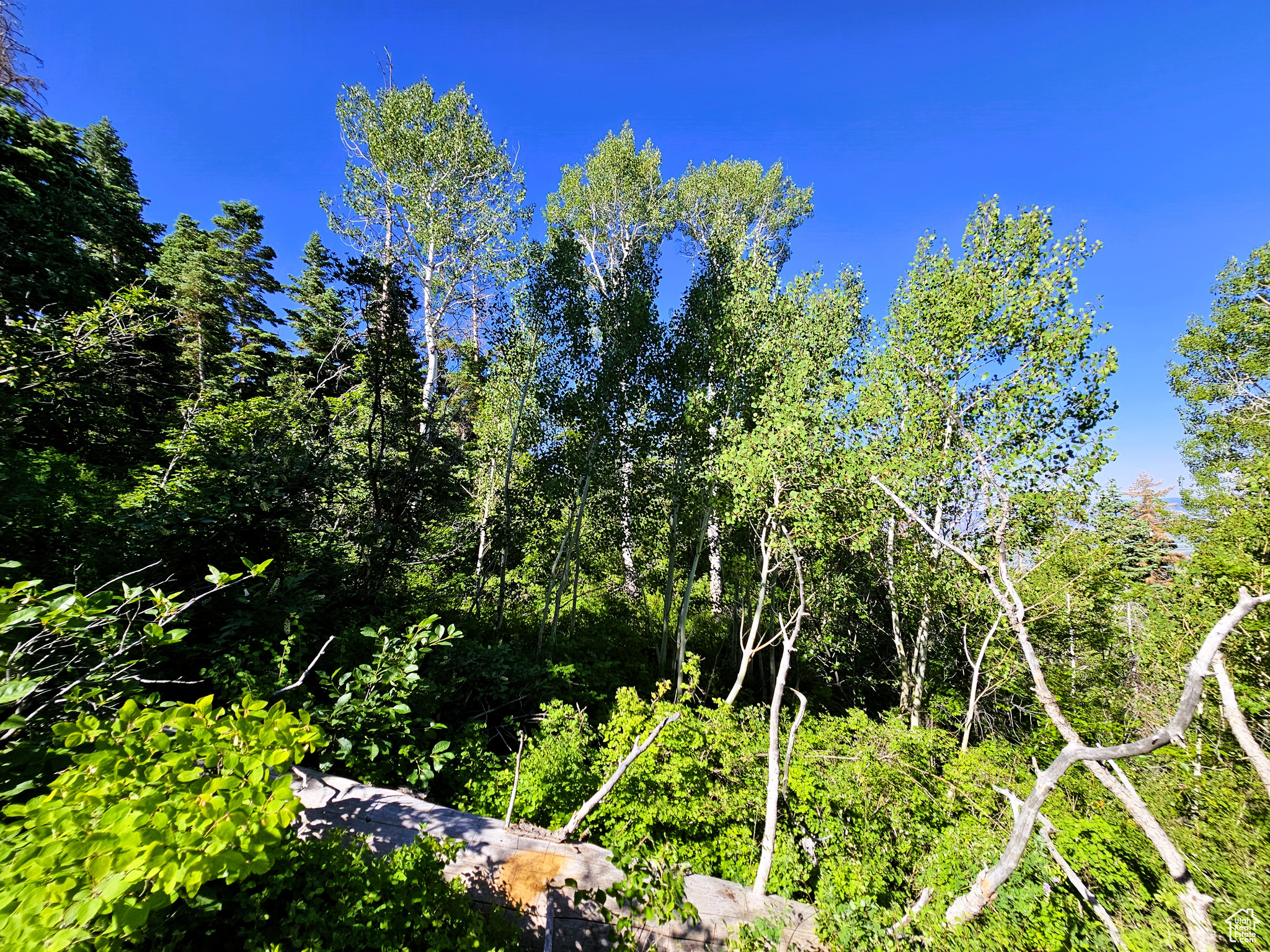 PINE RIDGE ESTATES - Land