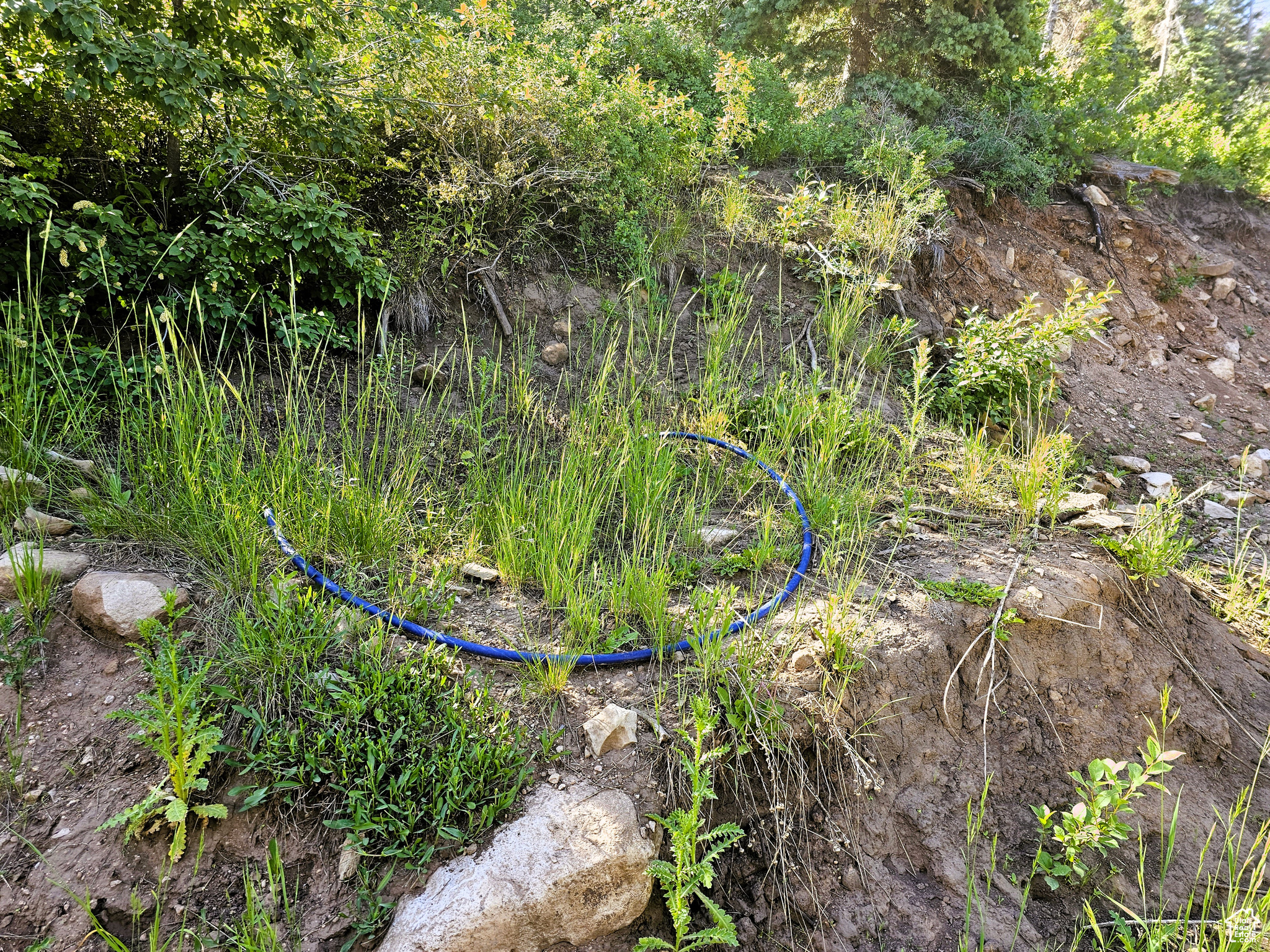 PINE RIDGE ESTATES - Land