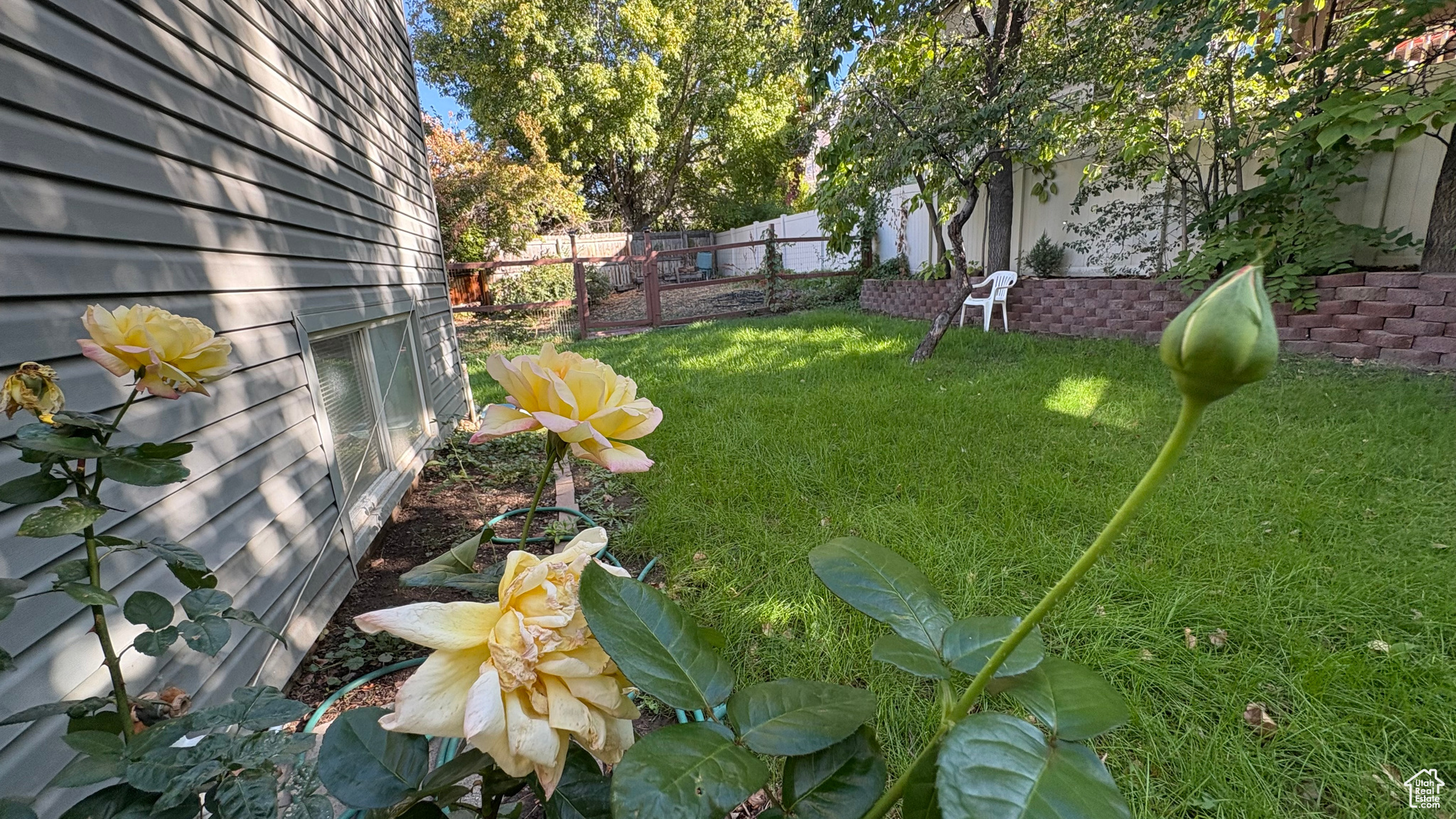 NUTREE WEST - Residential