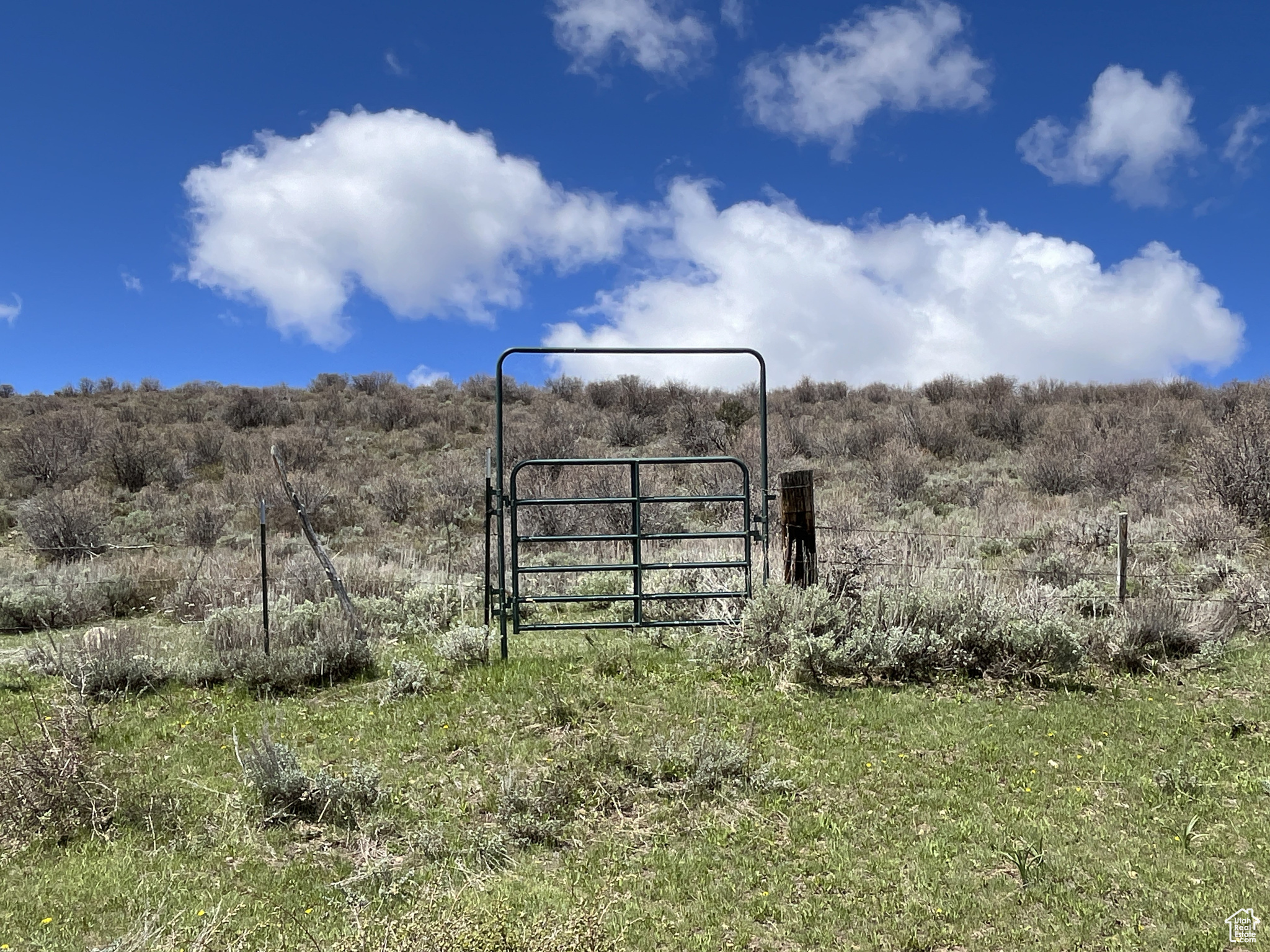 Land, Saint Charles, Idaho image 38