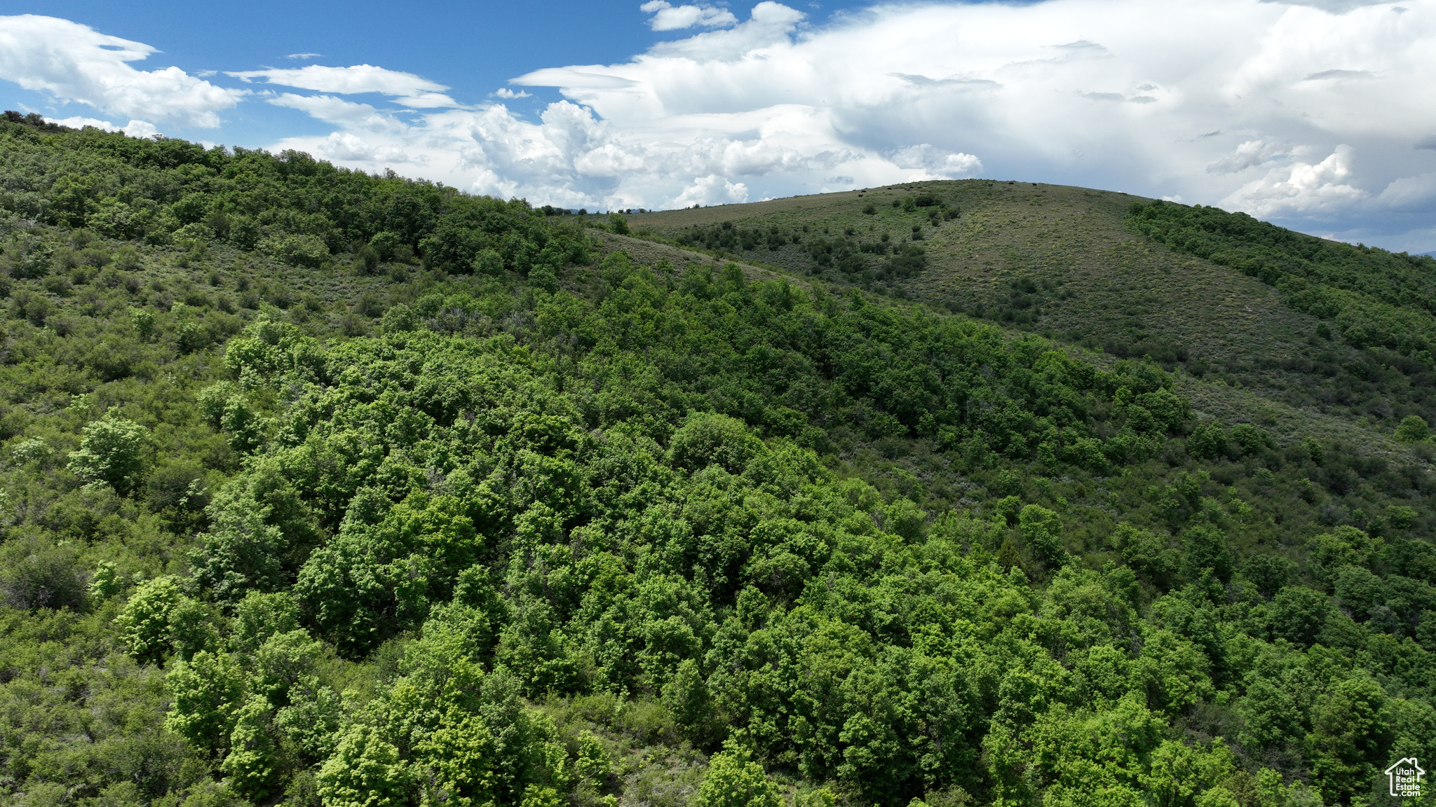 Land, Saint Charles, Idaho image 32