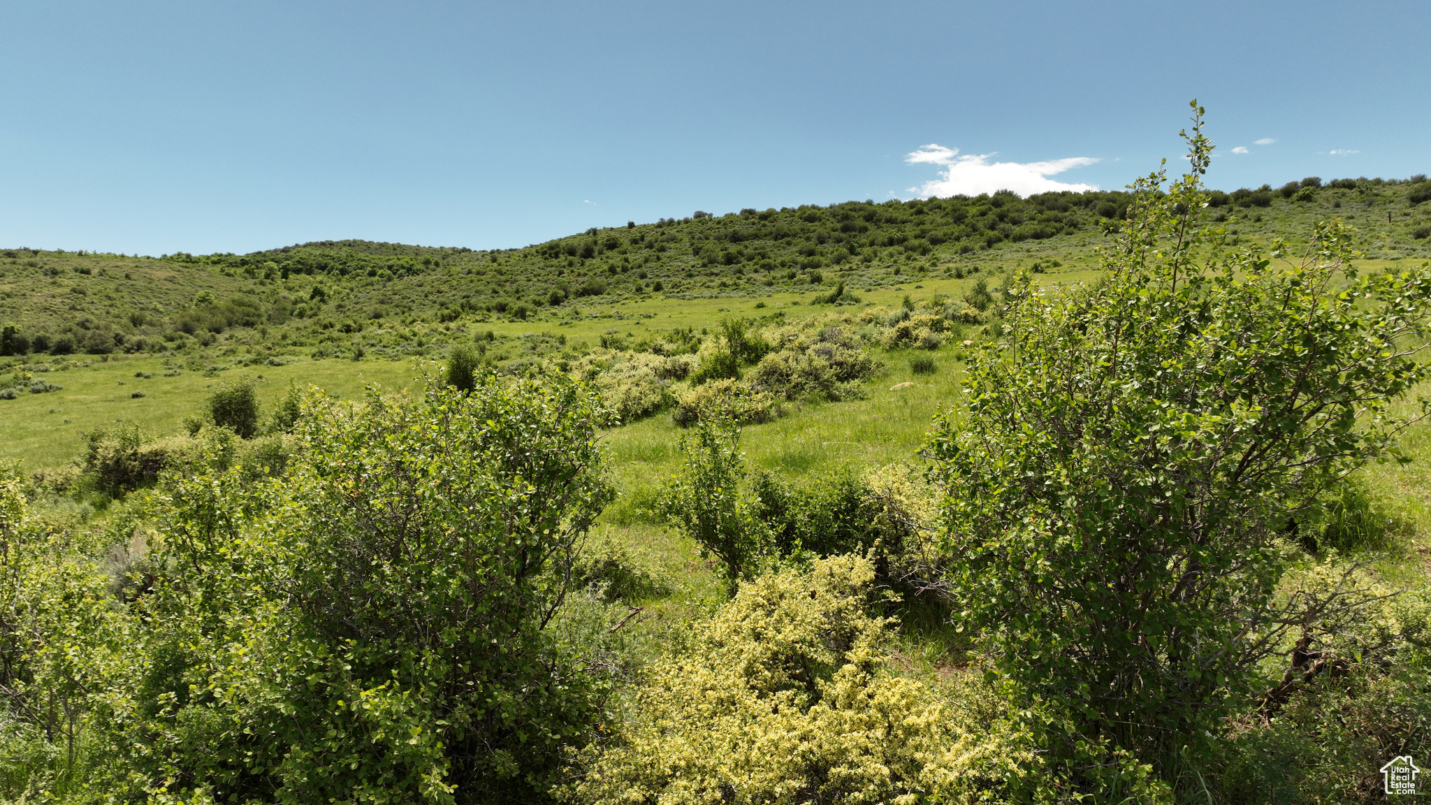 Land, Saint Charles, Idaho image 6