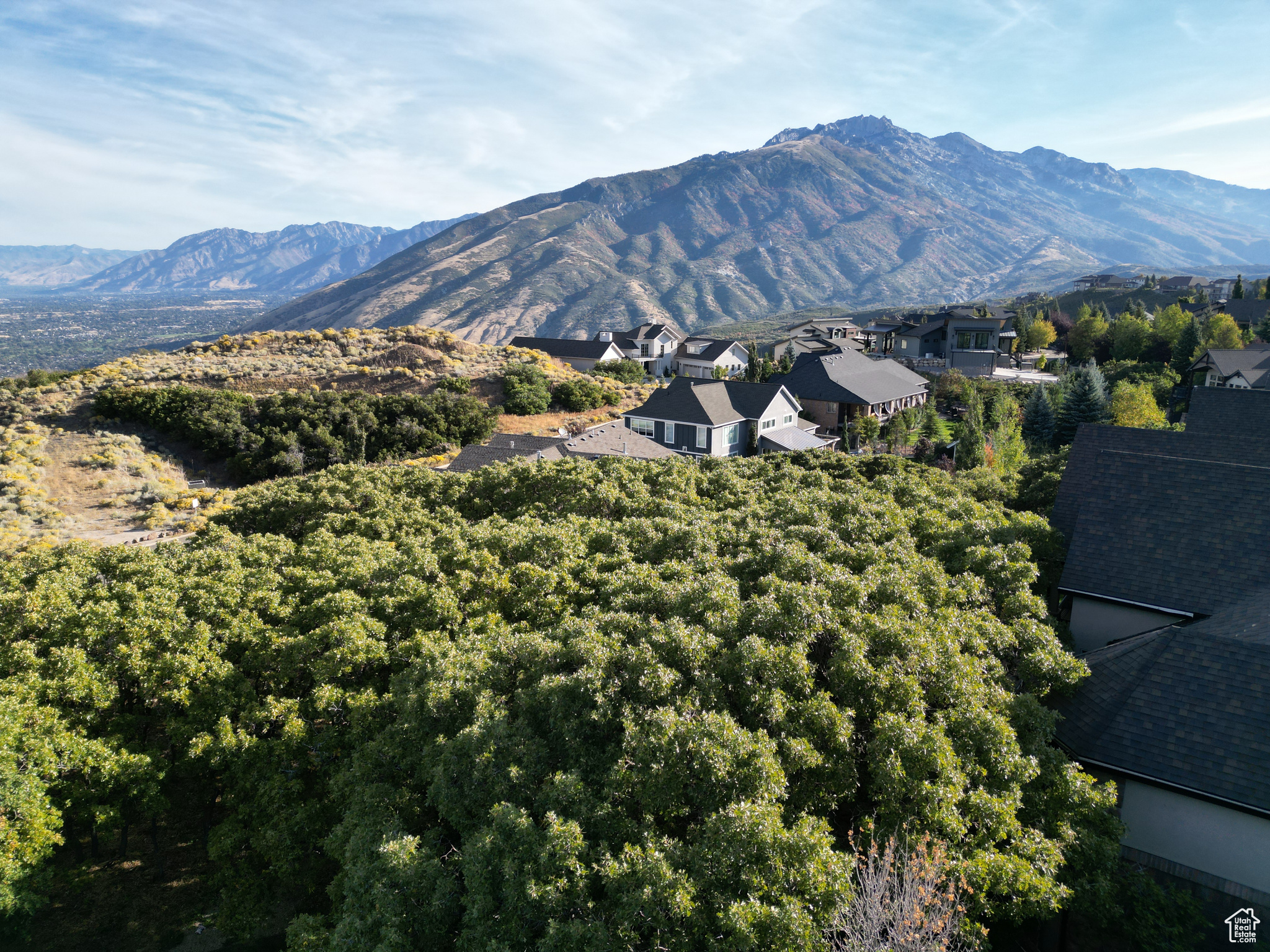 1463 E Meadow Bluff Ln #66, Draper, Utah image 1