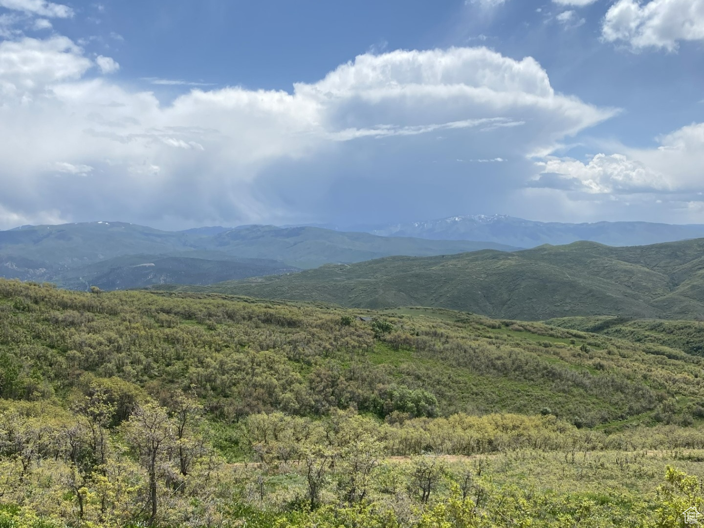 8 Forest Meadow Rd #FM-A-8, Coalville, Utah image 5