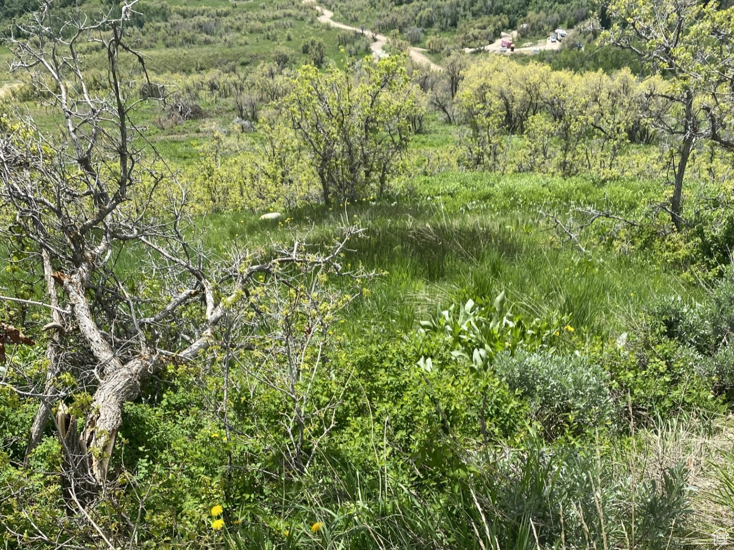 8 Forest Meadow Rd #FM-A-8, Coalville, Utah image 7