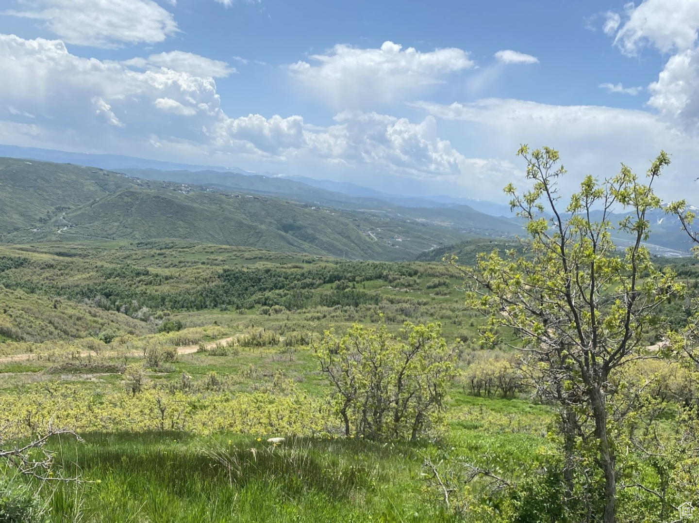 8 Forest Meadow Rd #FM-A-8, Coalville, Utah image 2