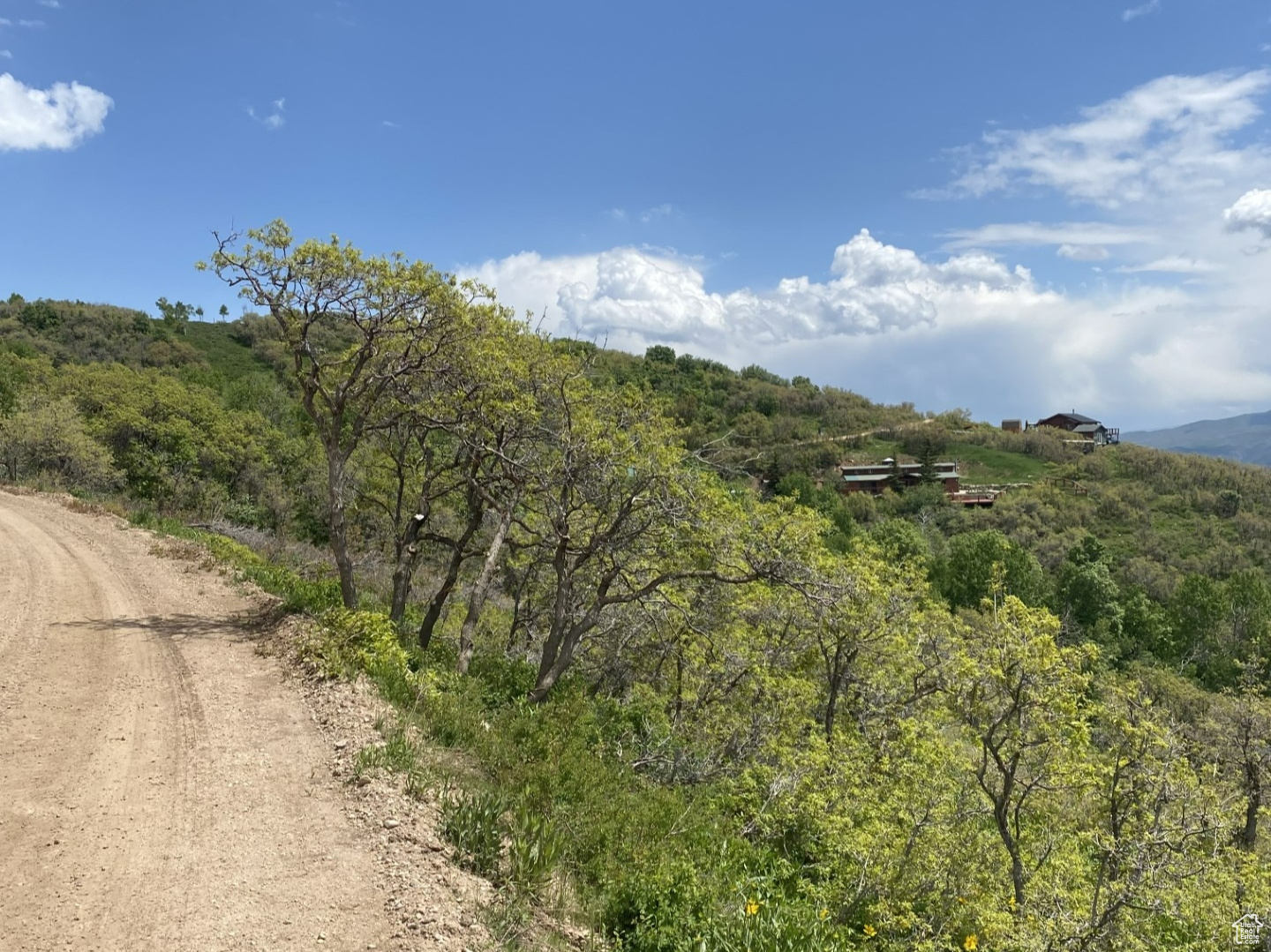 8 Forest Meadow Rd #FM-A-8, Coalville, Utah image 12