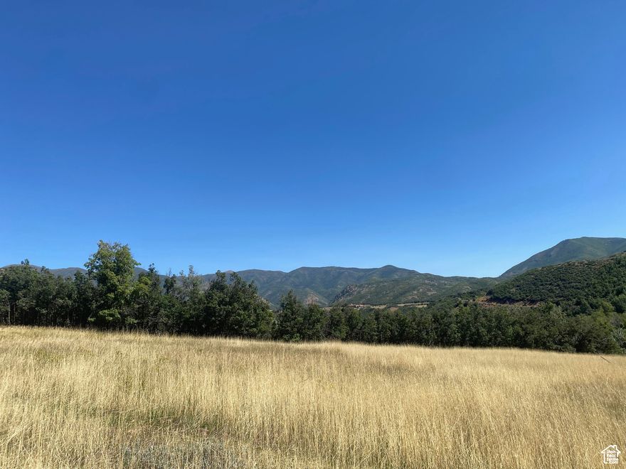 Stunning near 1 acre lot in a beautiful gated community. Build your dream home up the canyon in the clean air in this scenic location.  This listing is for Lot 20 of The Cottages (gated) community. Inquire about a bulk rate when purchasing all 3 lots- 18, 19 & 20.