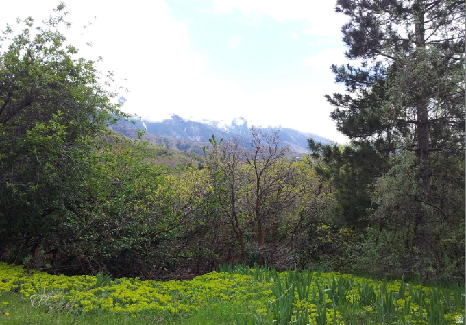 3720 E GOLDEN OAKS DR