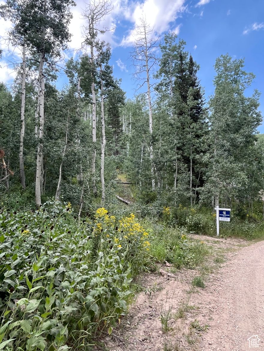 Whether you're dreaming of a cozy cabin or full-time residence, your dream home could sit in the serene spot among giant pine trees, aspens, and oak. The property and community offers it all for the outdoor enthusiasts. This stunning private residential lot in Tollgate Canyon offers unbeatable privacy, panoramic views, and the most affordable land in Summit County. A rare opportunity to own a slice of wilderness while still being close to the city and world class skiing.