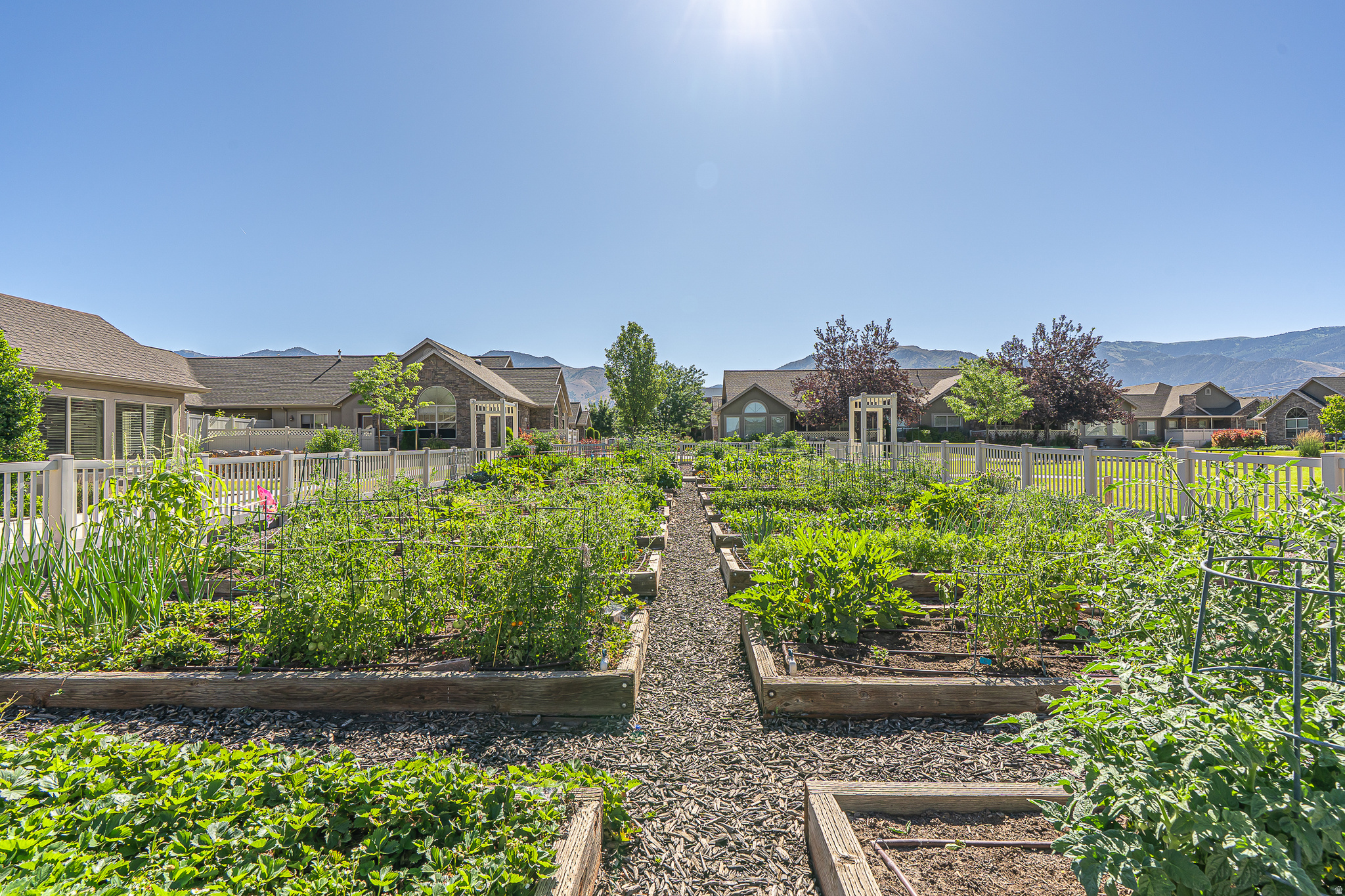 TOWNE CENTER VILLAS - Residential