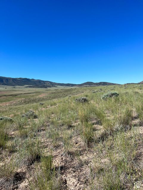 Vacant Land For Sale - Land<br/> Juab County, Levan, UT 84639