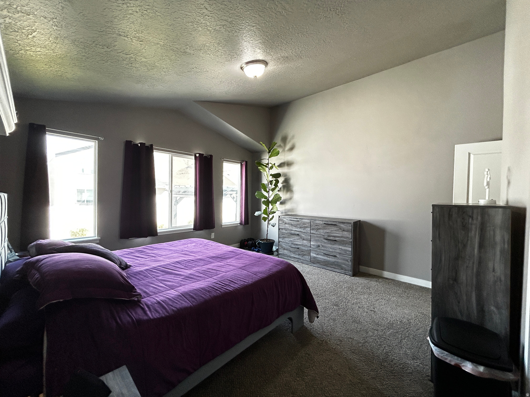 SADDLEBACK PASTURES LLC - Residential