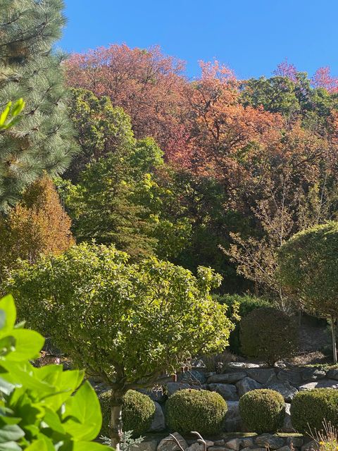 Tiny photo for 7980 S 2800 E, South Weber, UT 84405 (MLS # 2130861)