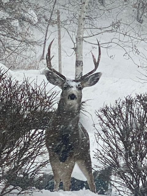 Tiny photo for 7980 S 2800 E, South Weber, UT 84405 (MLS # 2130861)