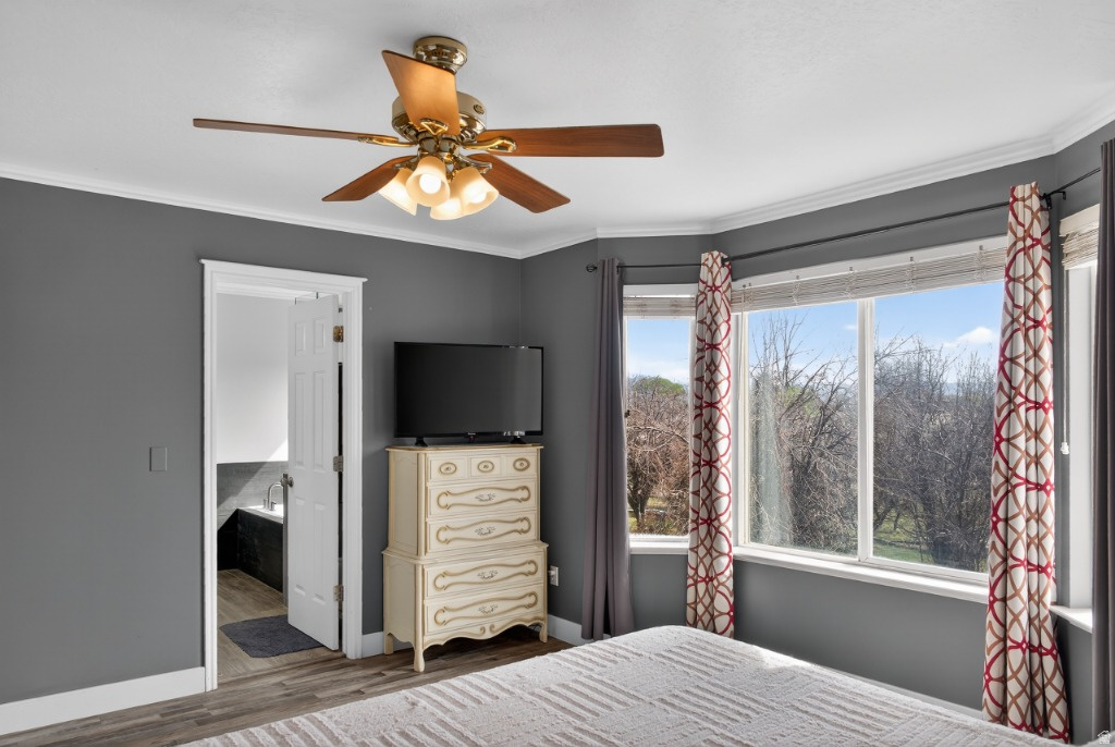 MEADOWPOINTE 1 - Residential