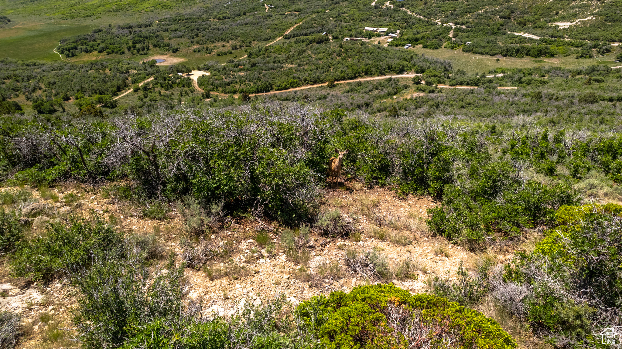 HIDEAWAY VALLEY - Land