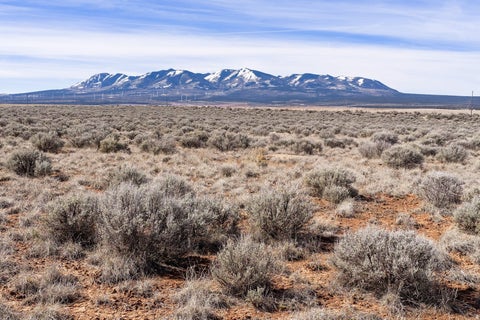 Vacant Land For Sale - Land<br/> Monticello, UT 84535