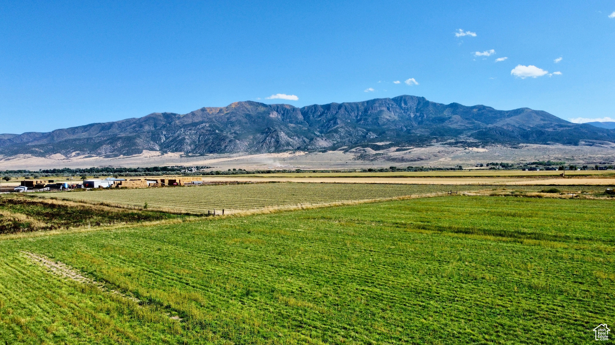 COVE PEAK ESTATES - Land