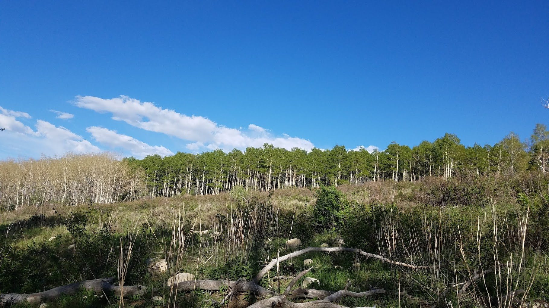 SOLDIER SUMMIT ESTATES - Land