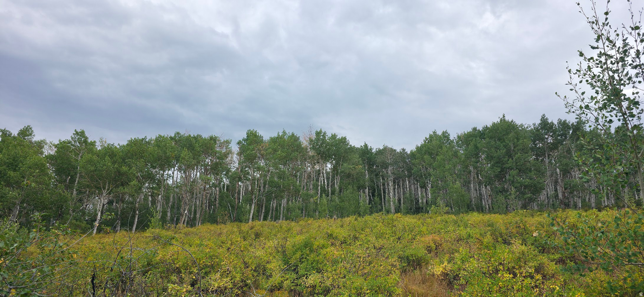 SOLDIER SUMMIT ESTATES - Land