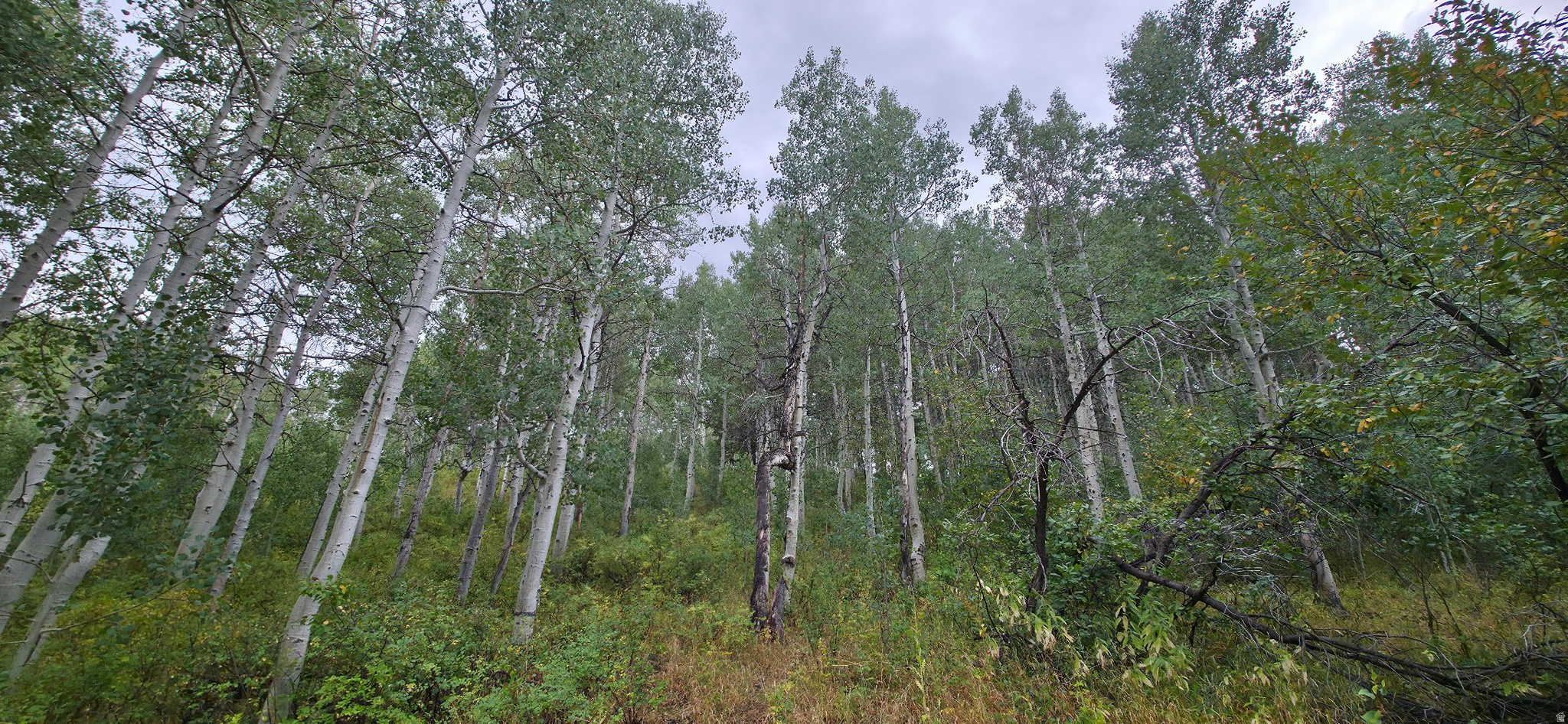 SOLDIER SUMMIT ESTATES - Land