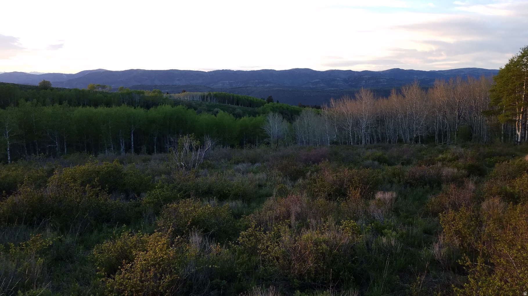 SOLDIER SUMMIT ESTATES - Land