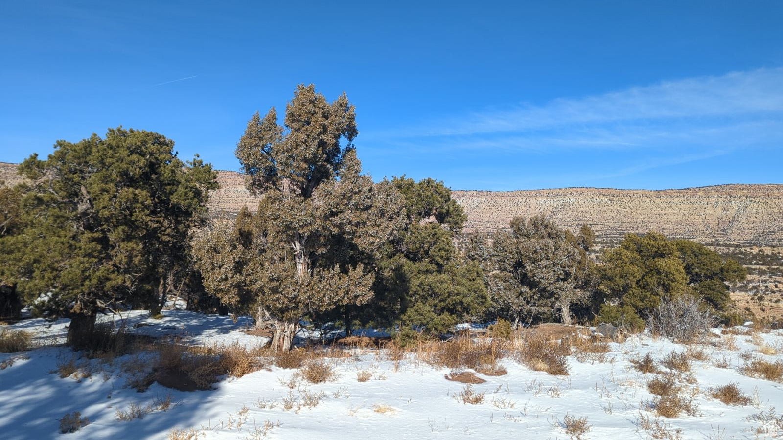 Land, Duchesne, Utah image 7