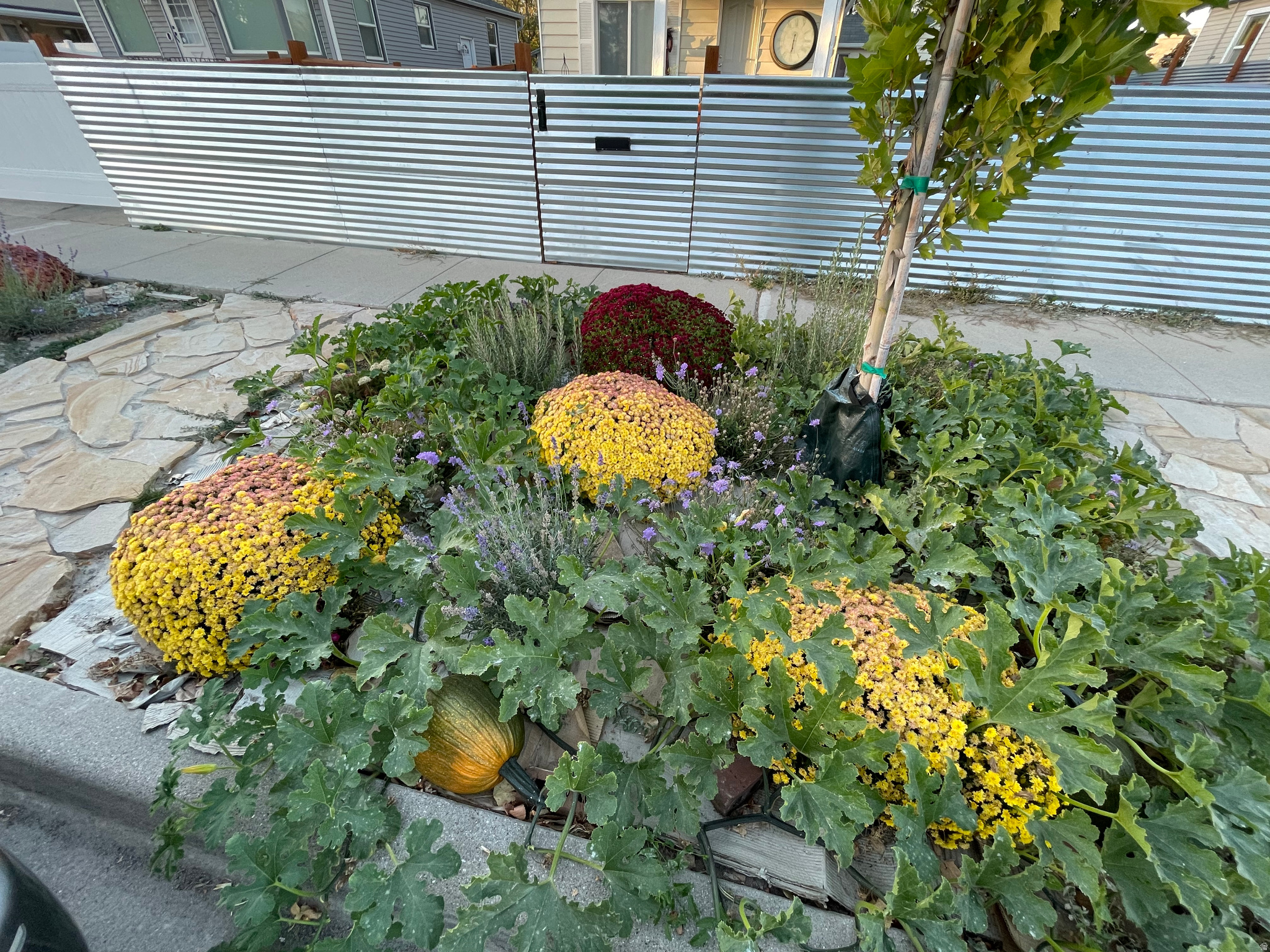 POPLAR PLACE - Residential