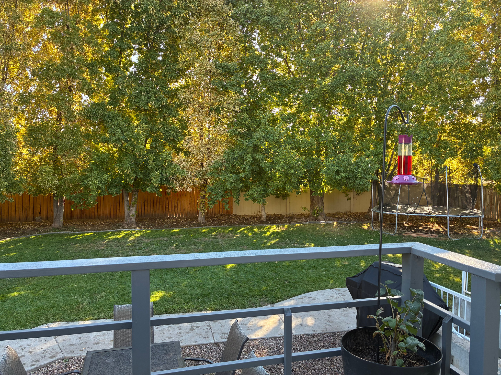 WHEATLAND ESTATES PH - Residential