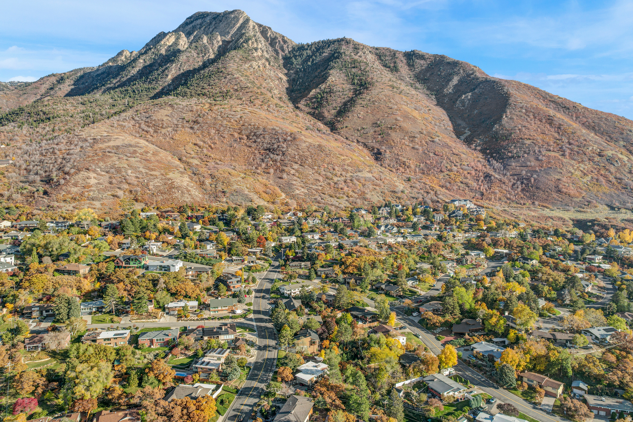 OAKCLIFF PARK - Residential