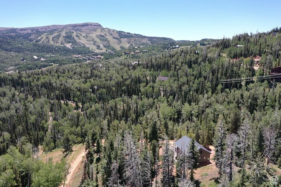 SKI VIEW ESTATES - Residential