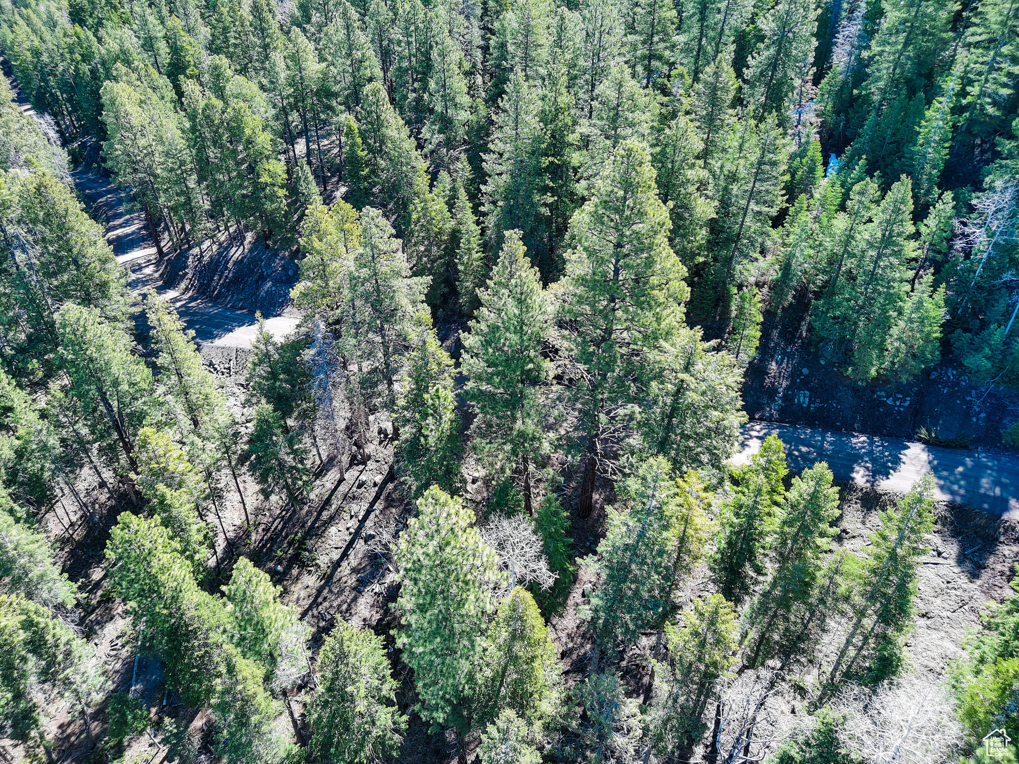 #1, Beaver, Utah image 19