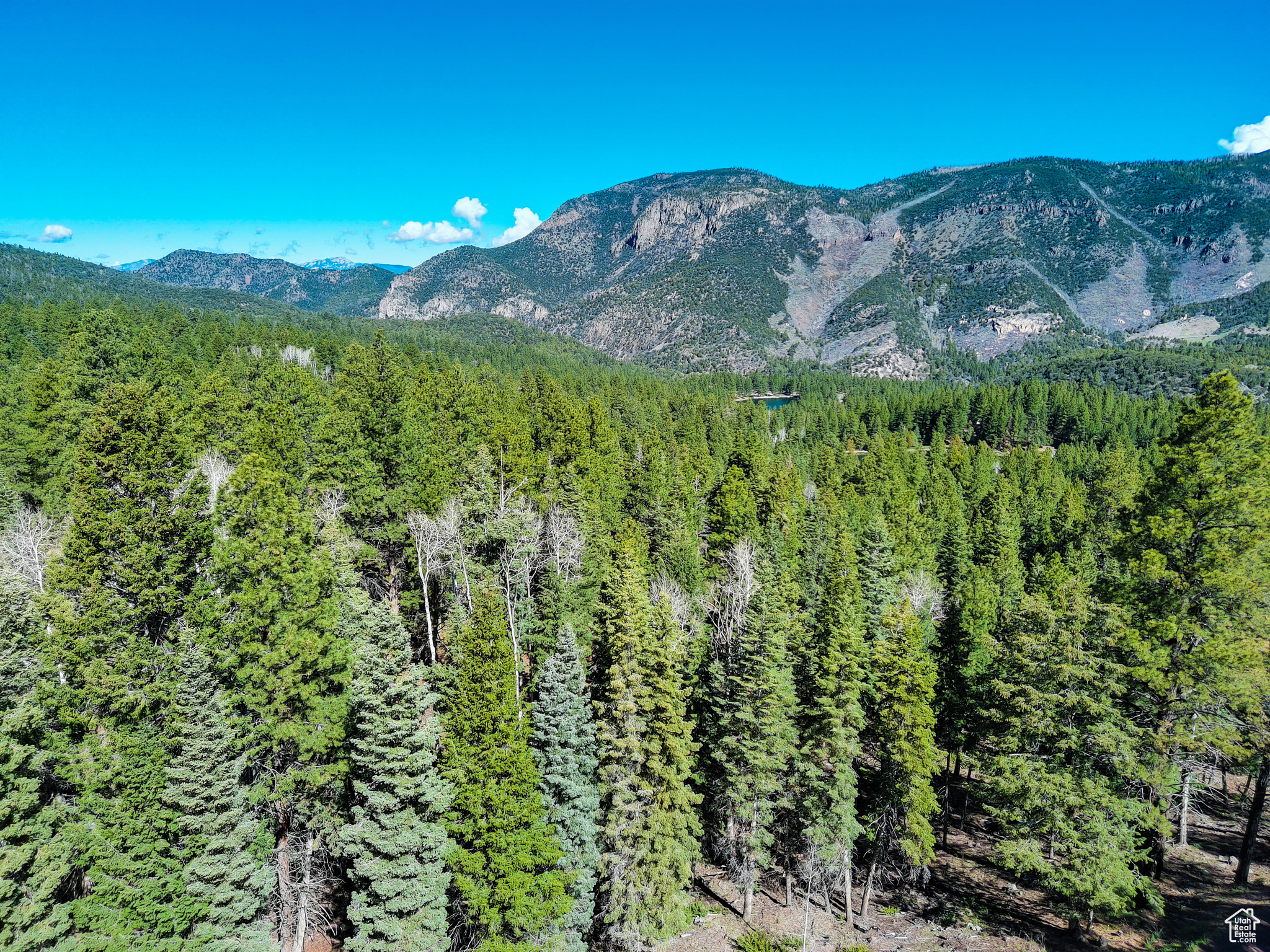 #1, Beaver, Utah image 15