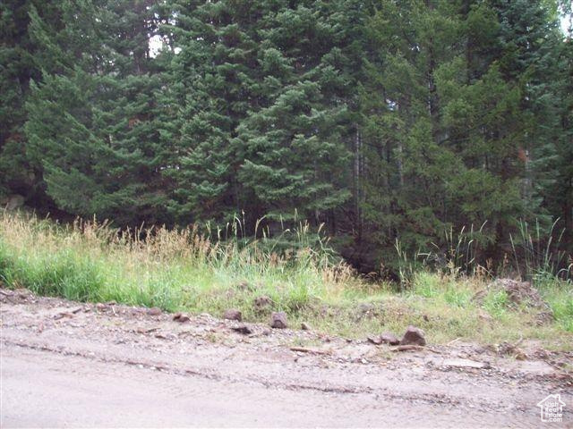 #1, Beaver, Utah image 5