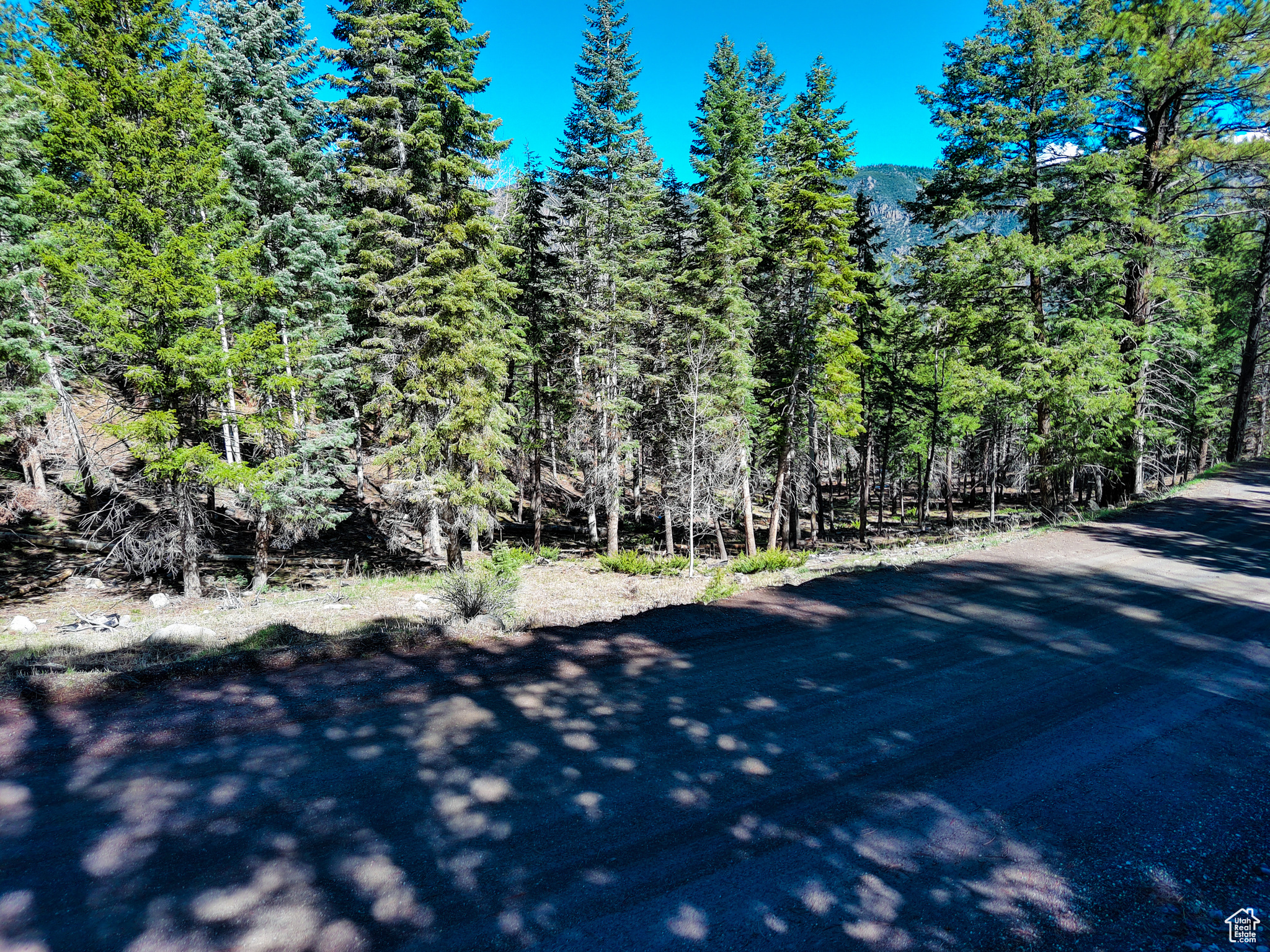 #1, Beaver, Utah image 9
