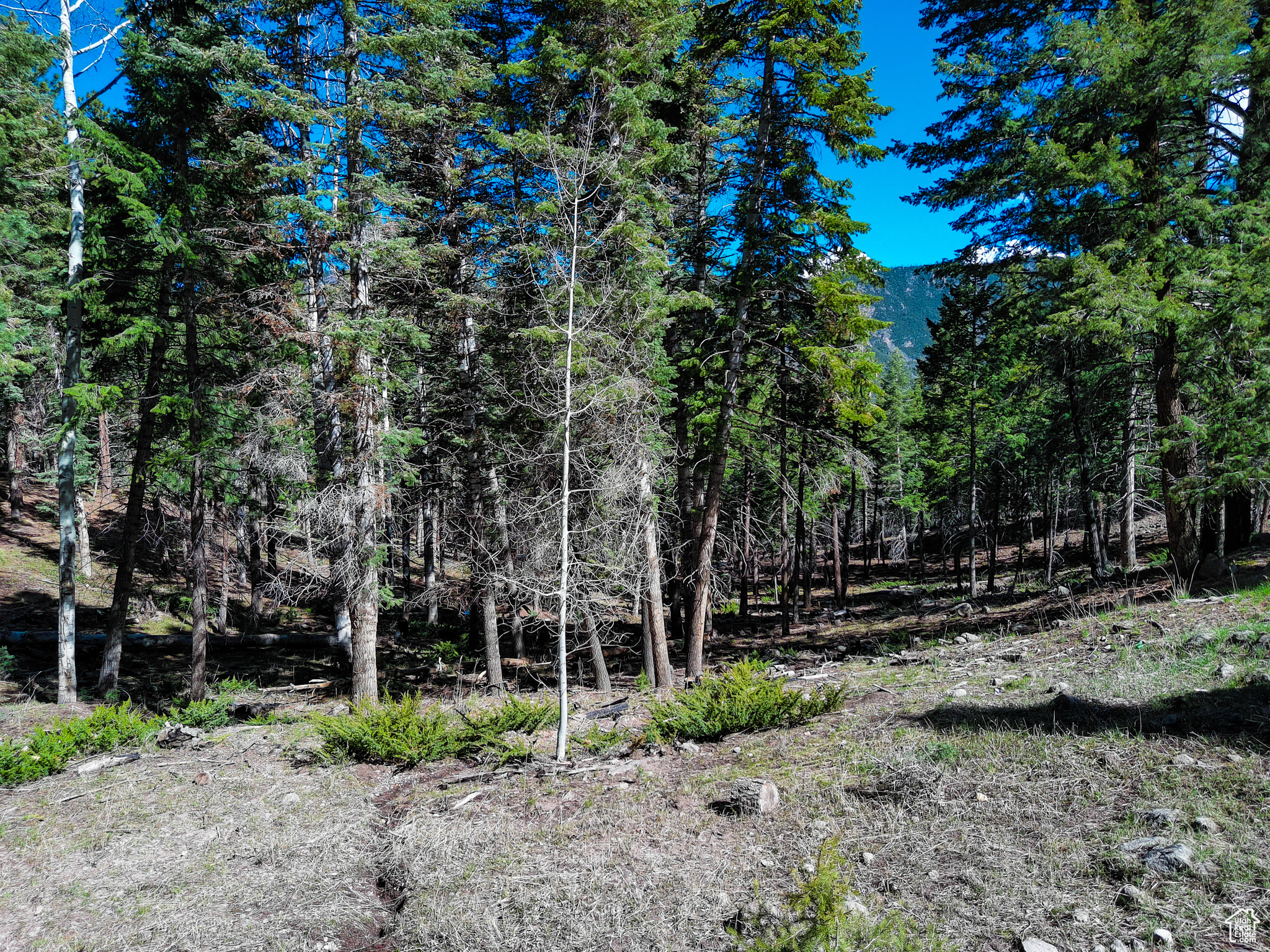 #1, Beaver, Utah image 24