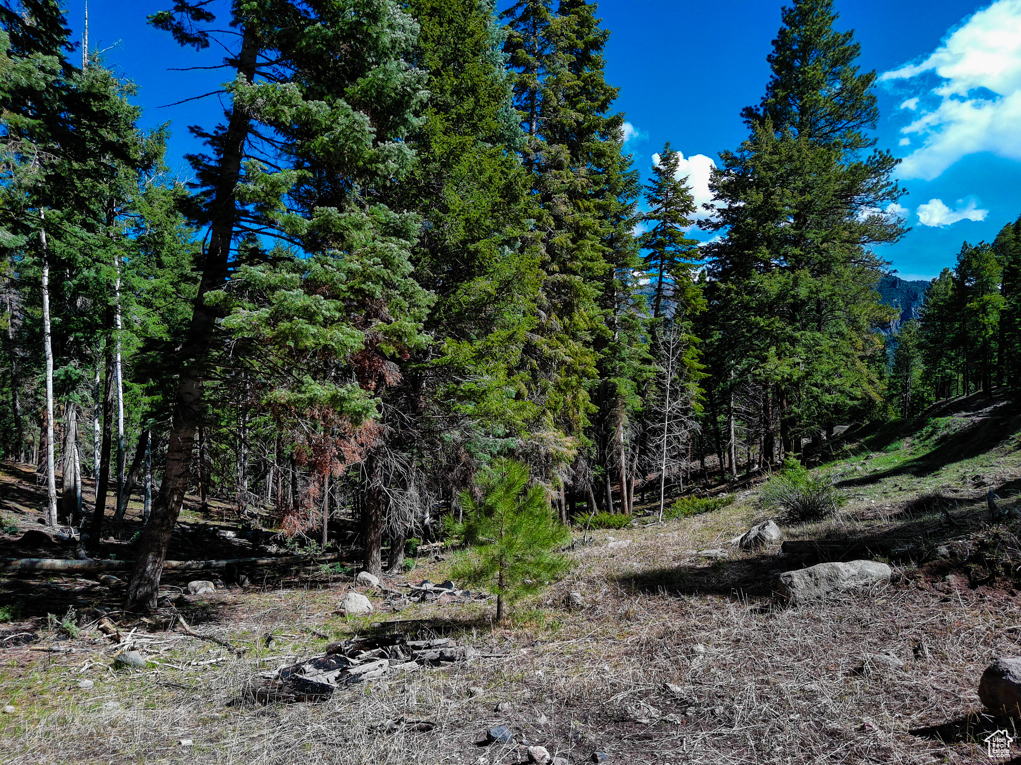 #1, Beaver, Utah image 22
