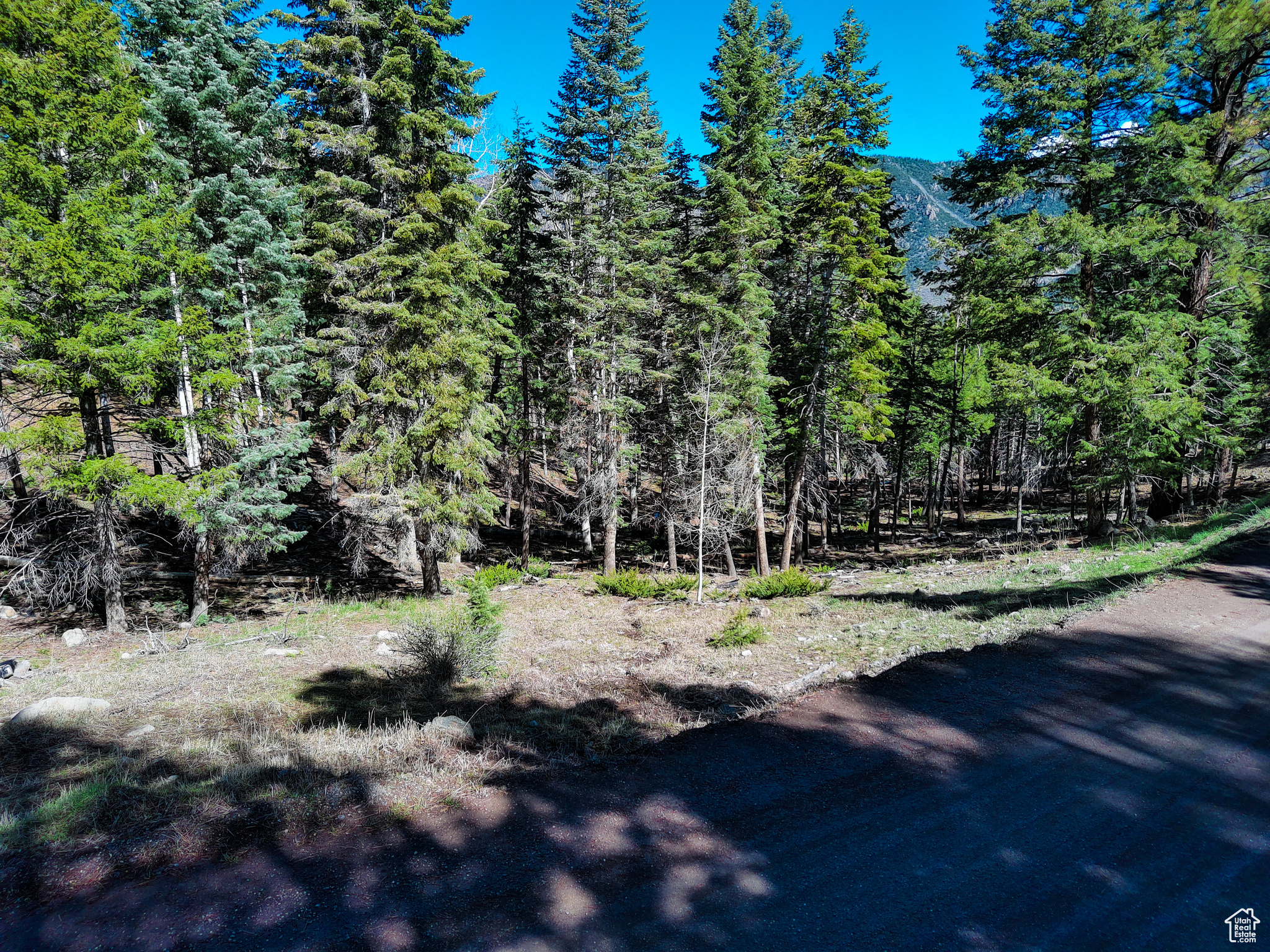 #1, Beaver, Utah image 11