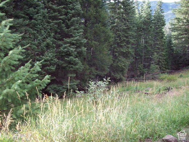#1, Beaver, Utah image 2