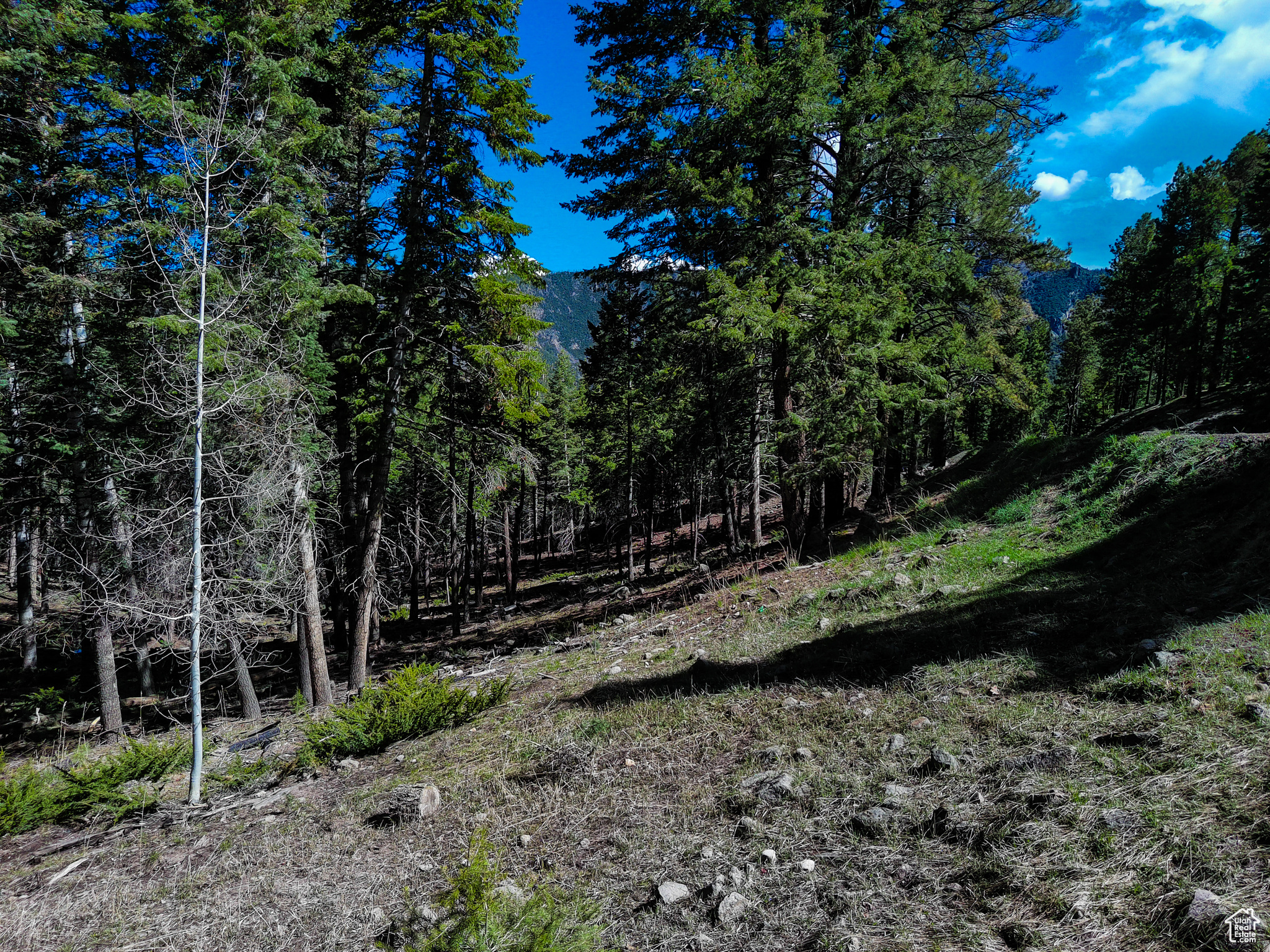 #1, Beaver, Utah image 23