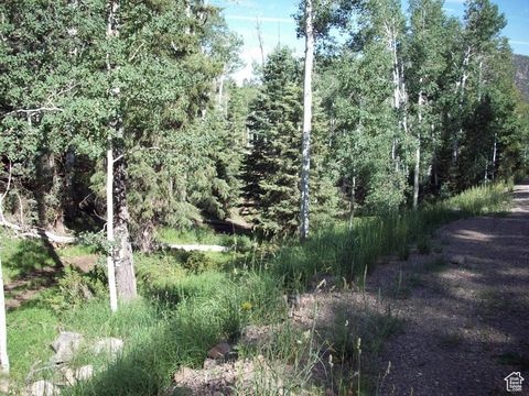 Vacant Land For Sale - #1<br/> Beaver County, Beaver, UT 84713