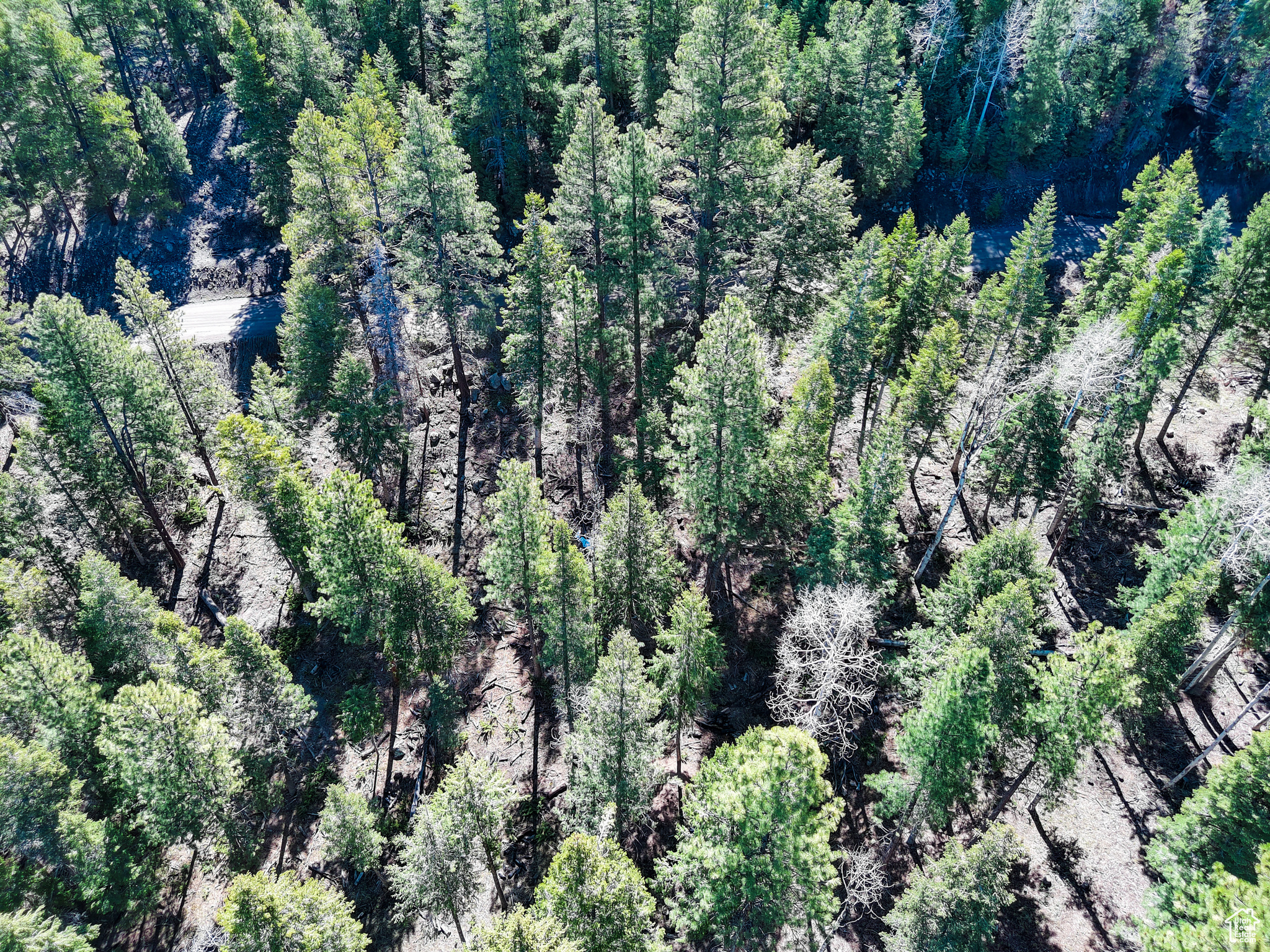 #1, Beaver, Utah image 20