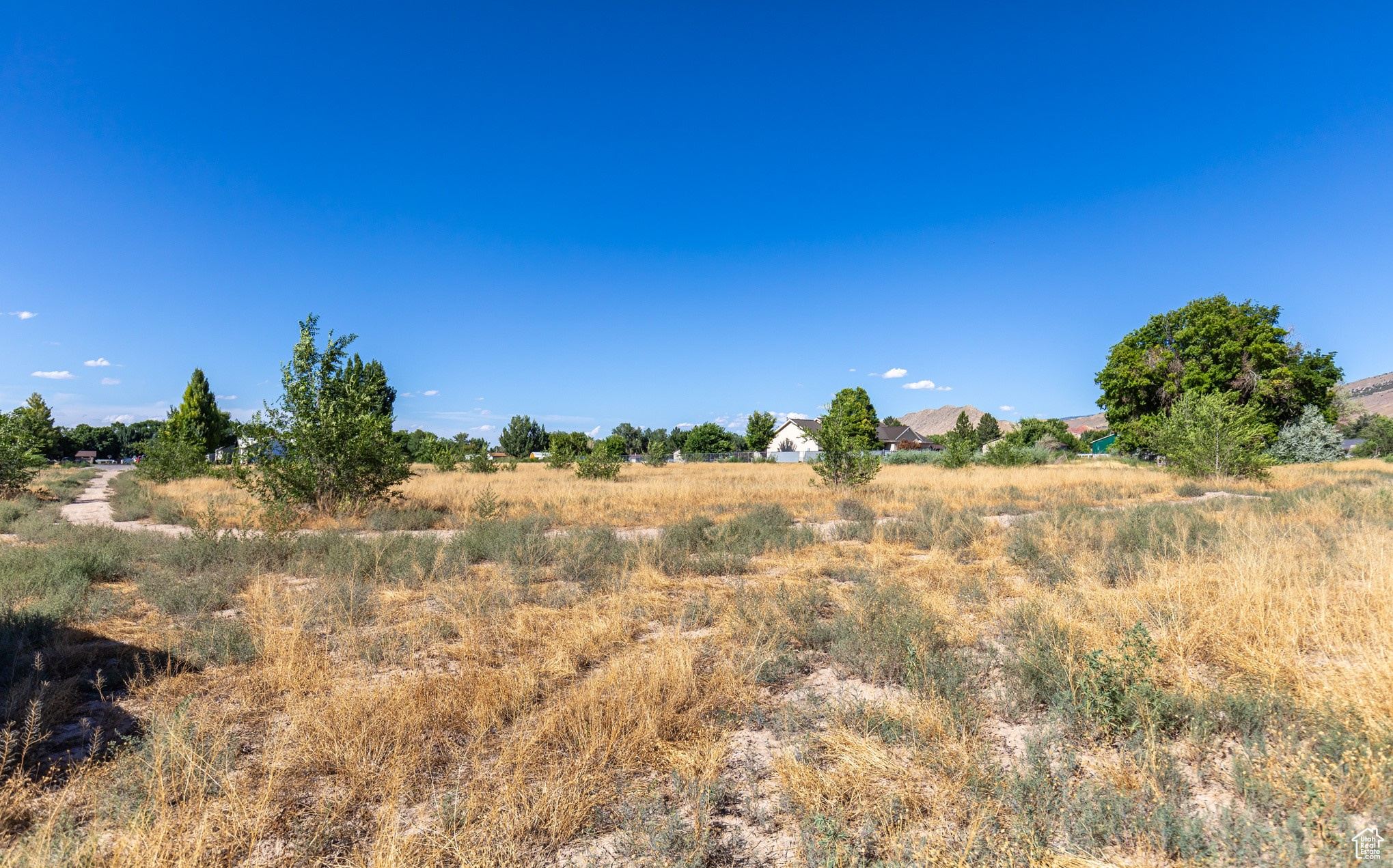 Land, Salina, Utah image 8