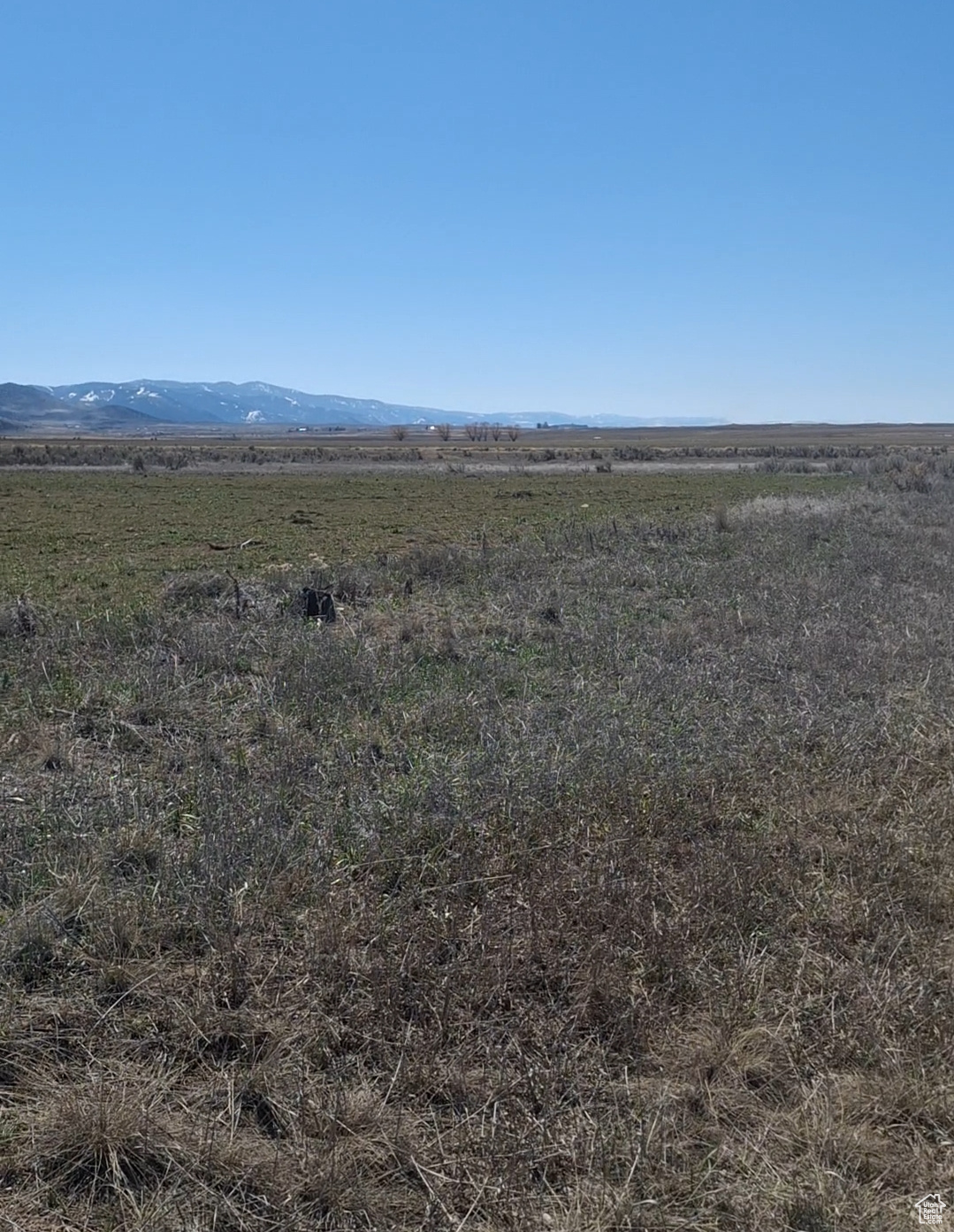 Land, Bancroft, Idaho image 5