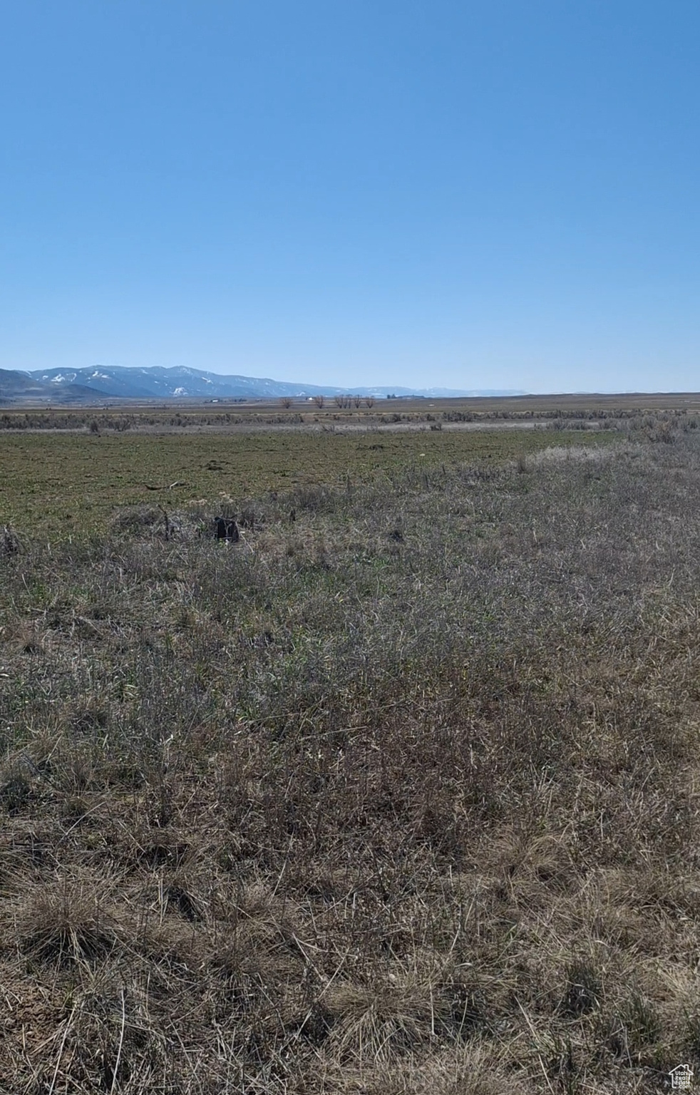 Land, Bancroft, Idaho image 2
